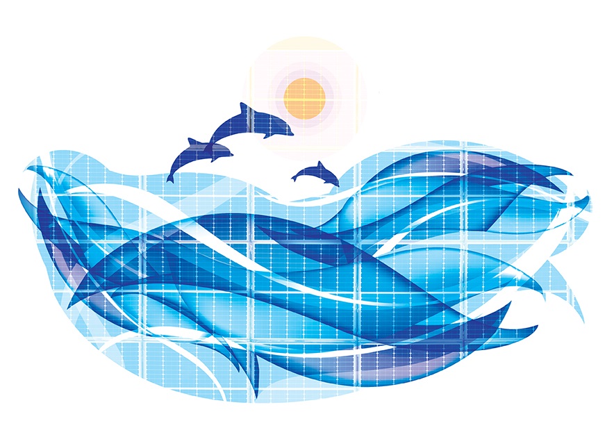 SeaSunDolphindLeap_shutt.jpg