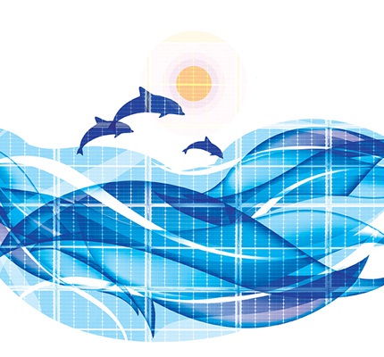 Shedd, Most-Visited U.S. Aquarium, Dives Into Solar 