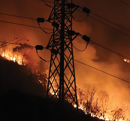 Wildfire Safety and Prevention: Tips for minimizing the risk of danger
