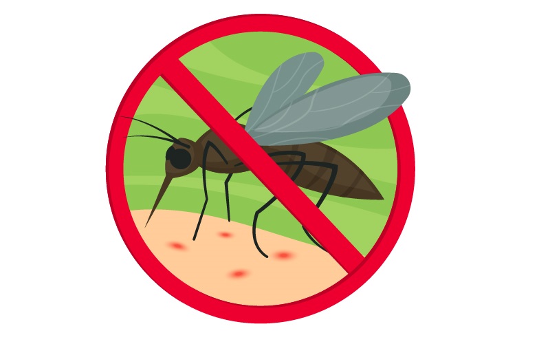 mosquito biting skin with red circle