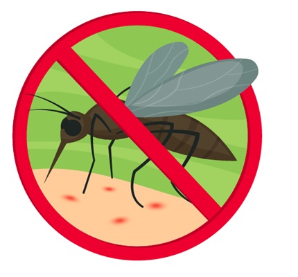 Don’t Get Bit: Tips for avoiding mosquitoes