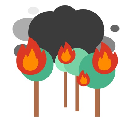 Wildfire Smoke and Ash