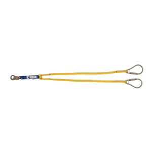 werner lanyard