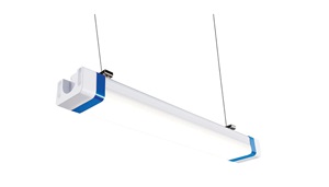 Blue and white grow light. Image by Growlite.