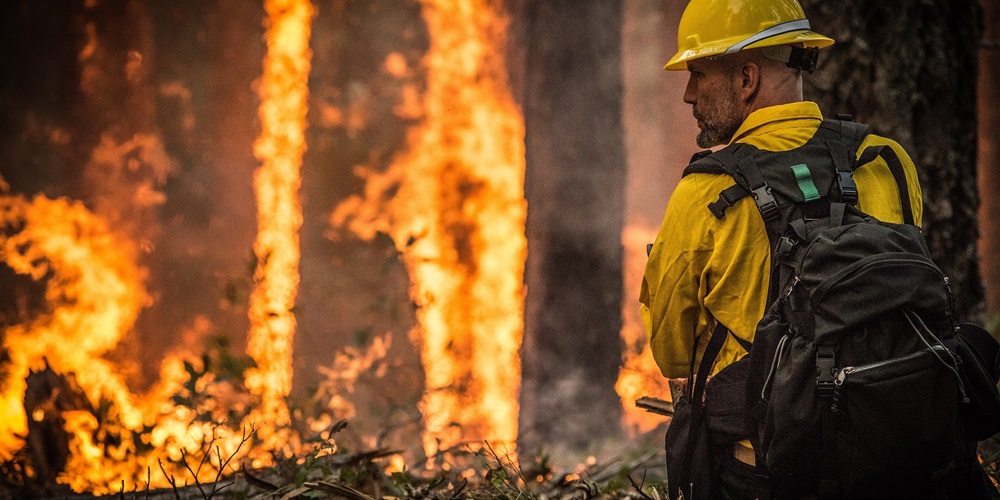 forest-fire-3905873_1920.jpg