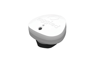 White lighting control box with the toggled logo. Image by Toggled.