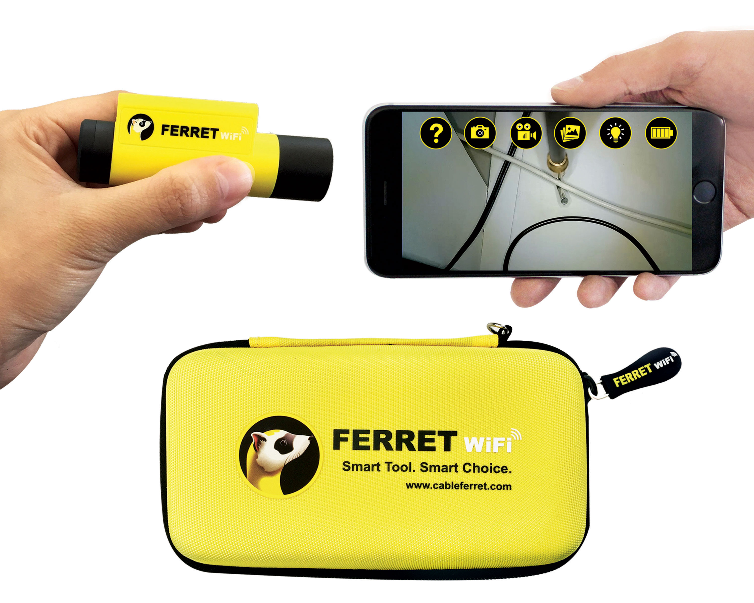 1118EC_Feat_Ferret.jpg 1118EC_Feat_Ferret.jpg