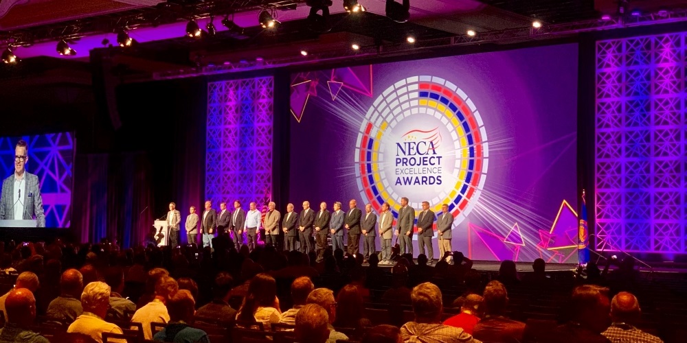 The 2019 Project Excellence Awardees