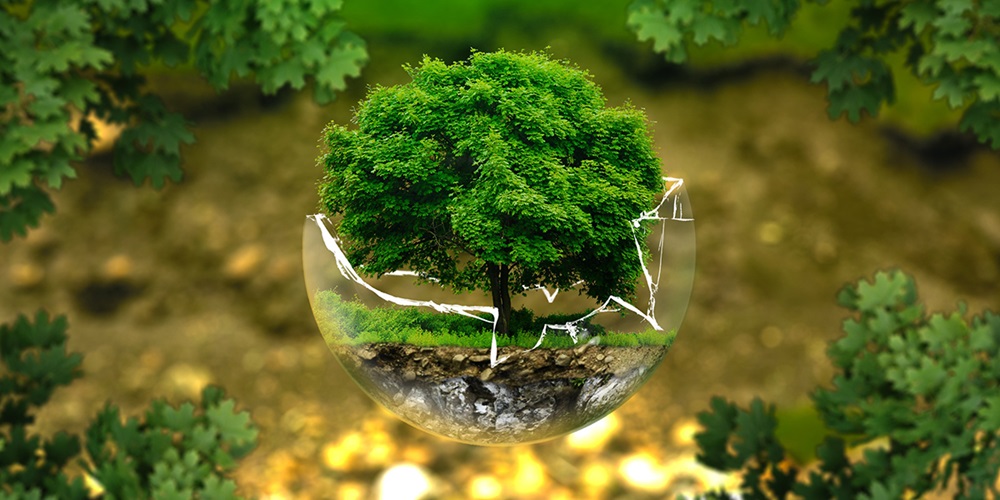 environmental-protection-326923.jpg