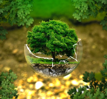 The EPA's Foggy Future and What It Means for ECs