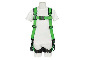 Buckingham's body harness