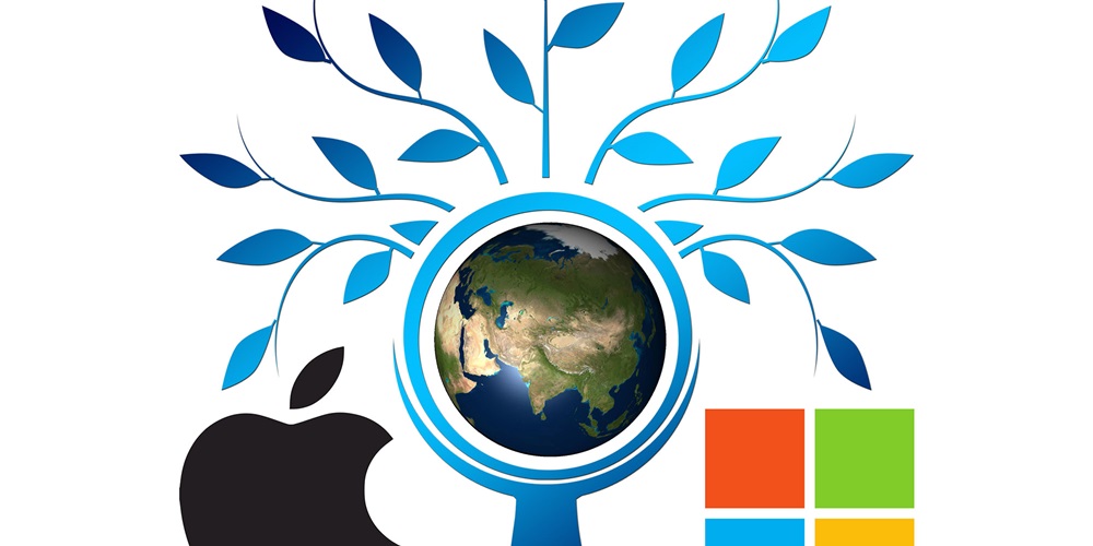 Apple MS tree-990852.jpg
