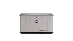 Gray generator. Image by Briggs & Stratton.