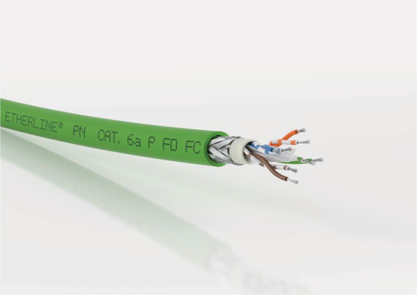 Lapp Tannehill's Cable