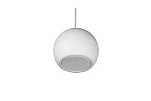 Biamp’s Speaker
