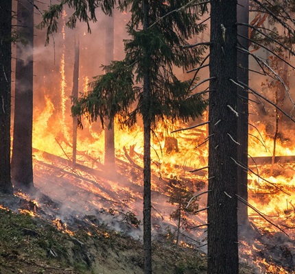 Wildfires Rage Across California