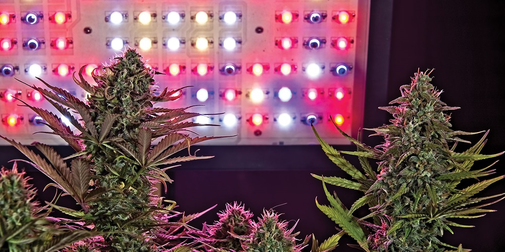 Horticultural Lighting