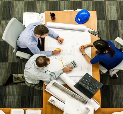 Study Examines How ECs Adjust and Evolve with Growth