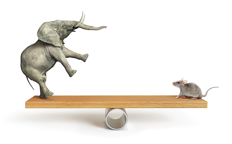 Tariffs, surcharges and the impact on contractors