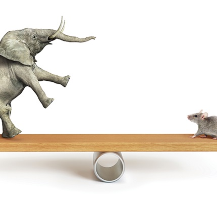 Of Mice and Elephants: Tariffs, surcharges and the impact on contractors—oh my!