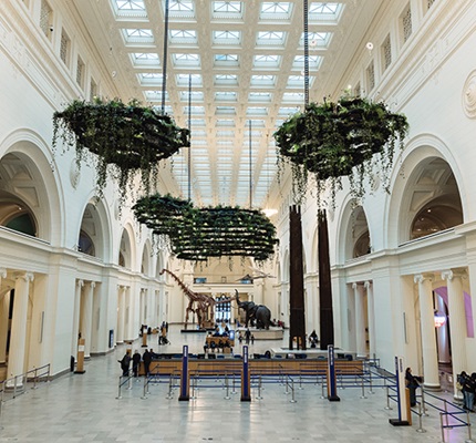 On Display: From interactive exhibits to smart surveillance, museums offer multiple opportunities for work