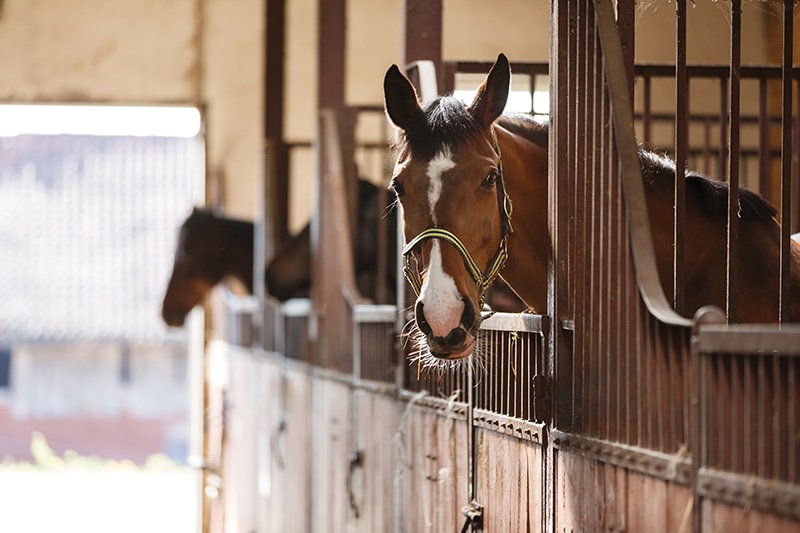 Protecting the Barn