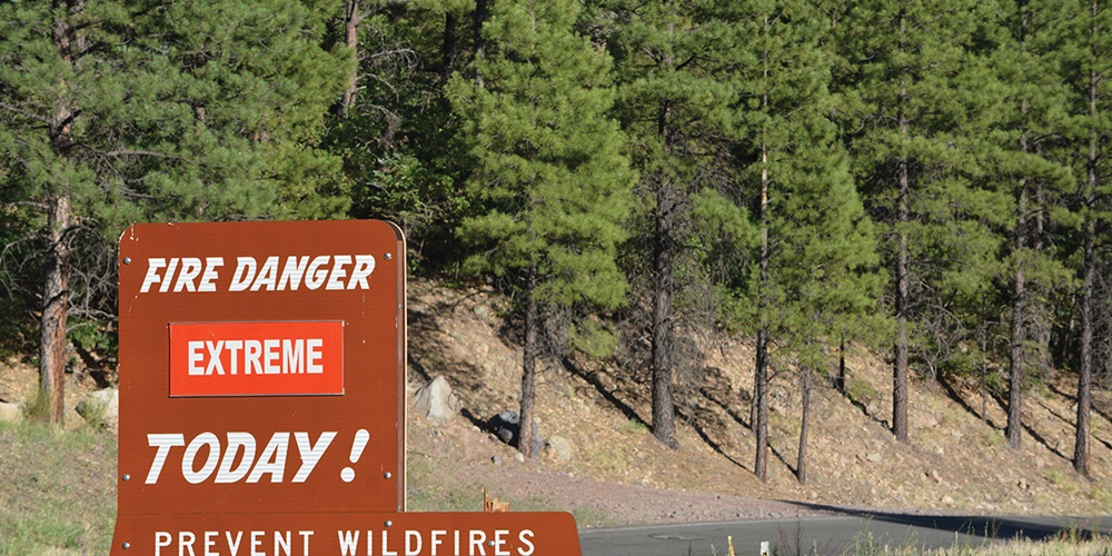 (Don't) Fan the Flames: Wildfire Safety, Mitigation and Prevention