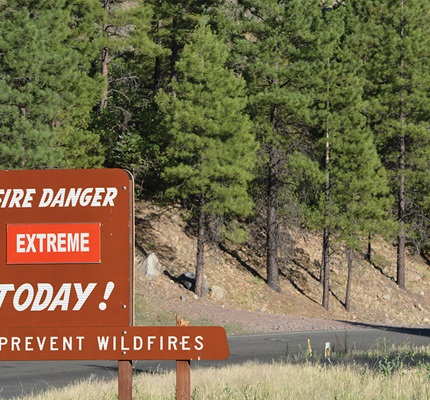(Don’t) Fan the Flames: Wildfire safety, mitigation and prevention