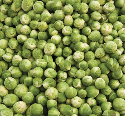 Sprouting Up