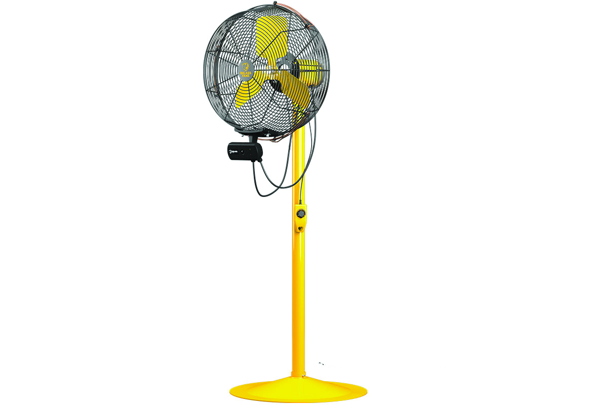 1219_New_Fans.jpg Fan.