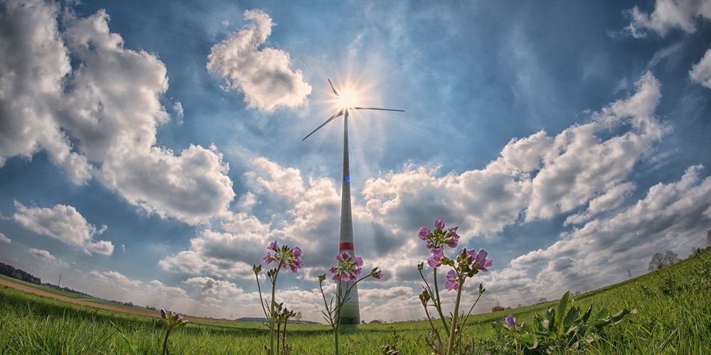 pinwheel-2222471_1920_0.jpg