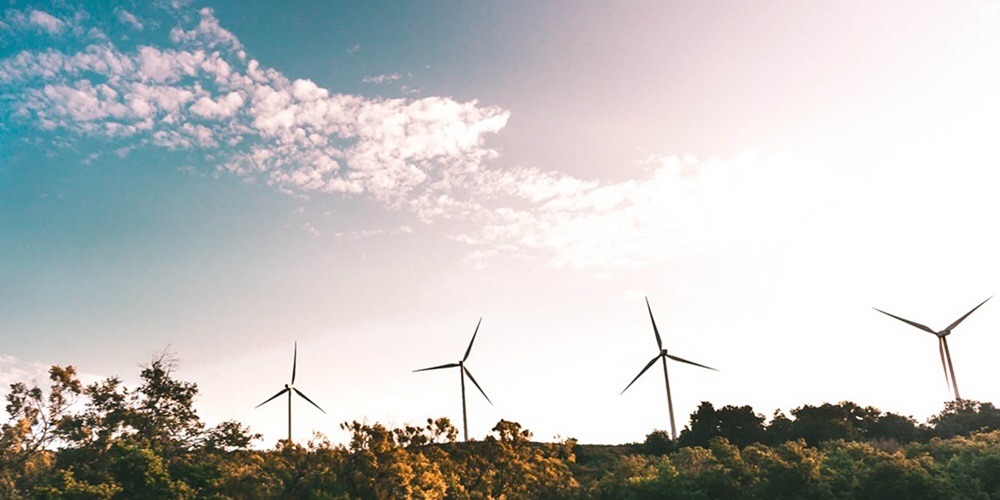 wind turbines near trees / wind energy / wind power / renewable energy