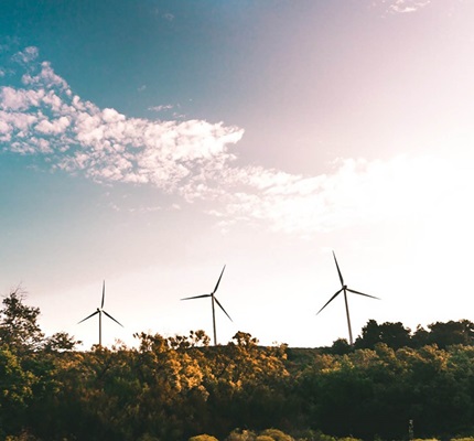 wind turbines near trees / wind energy / wind power / renewable energy