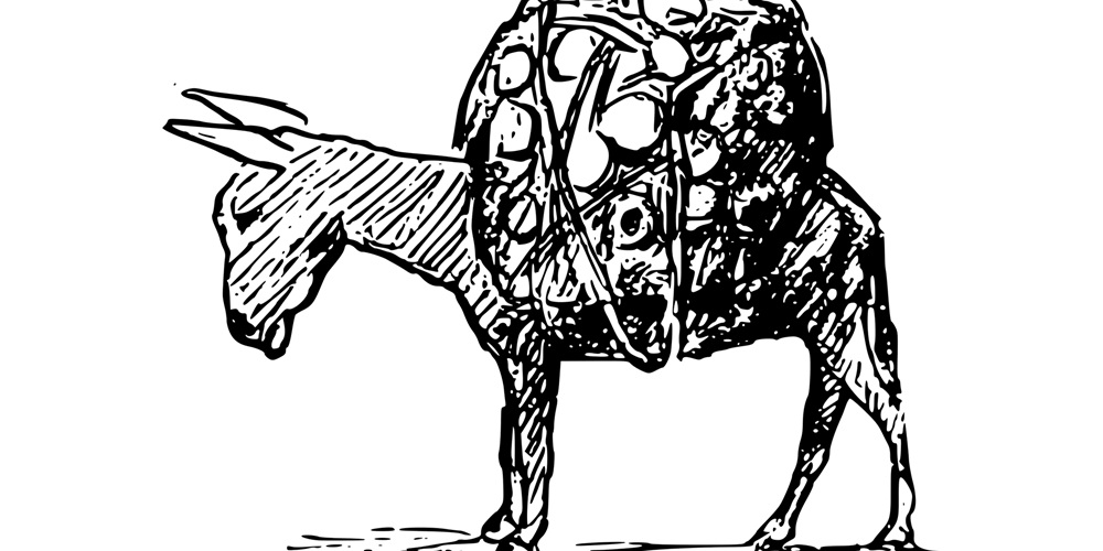 animal-1297461.jpg