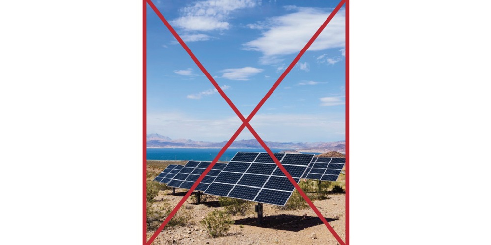 Out of Nevada.jpg