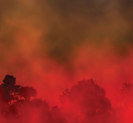 Bouncing Back: Recovery Efforts in the Wake of a Record Year for Weather-Related Disasters