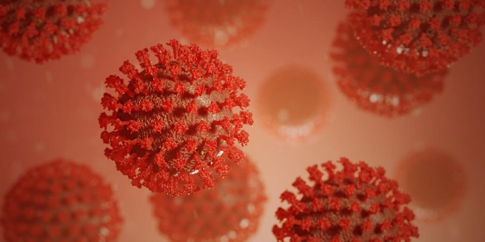 coronavirus 2.jpg