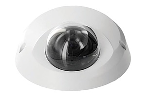 Leviton's Camera