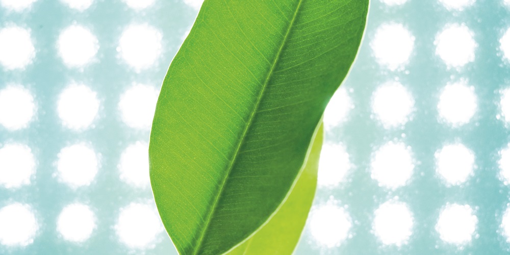 LED_green_plants_iStock_000037360274_Large.jpg