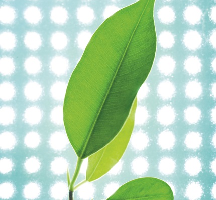 Grow Light