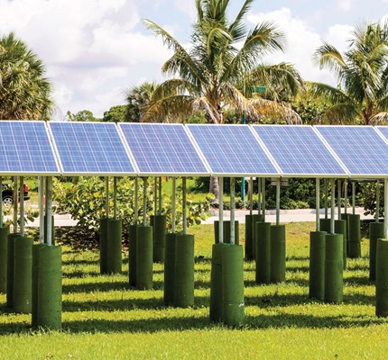 Florida Voters Give Solar Power A Boost