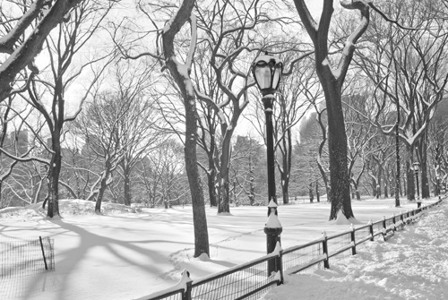 February Blizzard Blankets Northeast