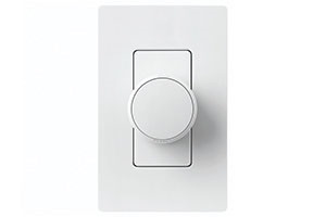Lutron Switch