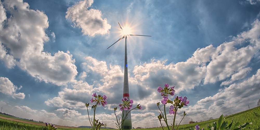 pinwheel-2222471_1920.jpg