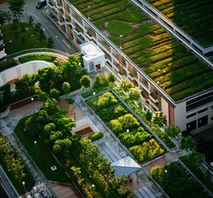 Nonresidential Green Building Market Grows