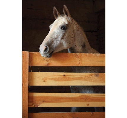 Wiring Types for Barns,  Flexible Fittings and More 