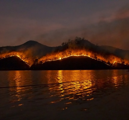California Utilities Plan for Wildfire Reduction Efforts