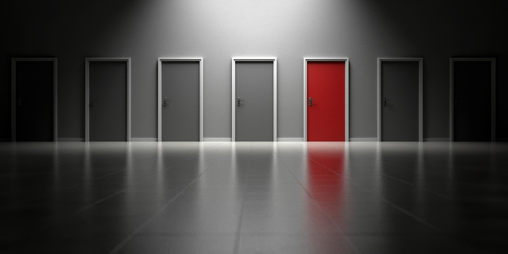 Doors Choices Options