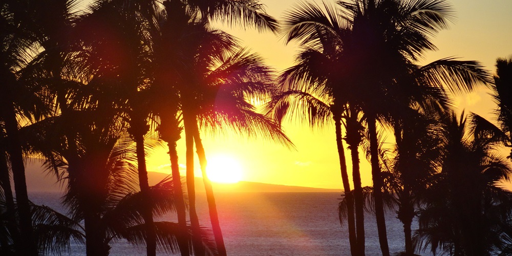 Pixabay KingDude420 beach-1455815_1920.jpg