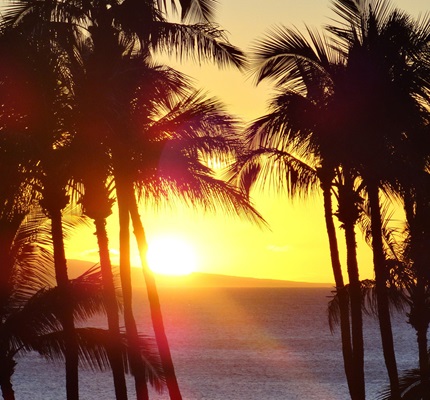 Hawaii Campus Says Goodbye to Fossil Fuels